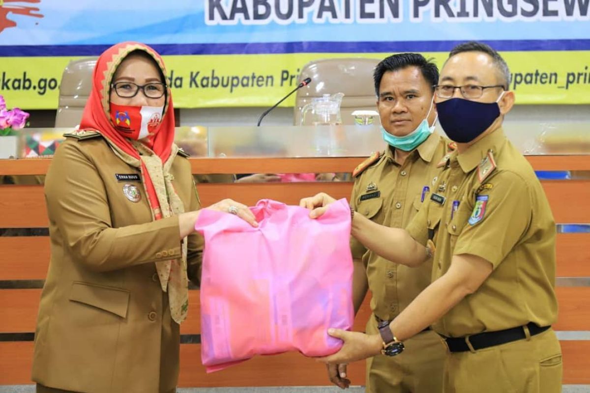 Kabupaten Pringsewu terima bantuan Kementerian PPPA buat perempuan-anak terdampak COVID-19