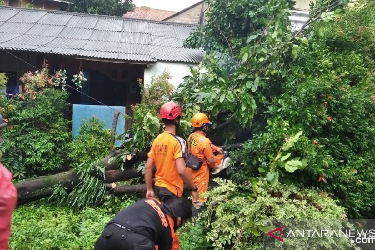 BPBD Kota Bogor tangani bencana akibat angin kencang selama bulan Juli 2020
