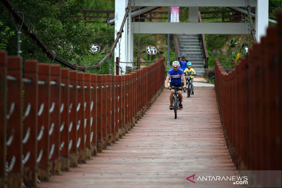 China steadily advances all-around rural revitalization