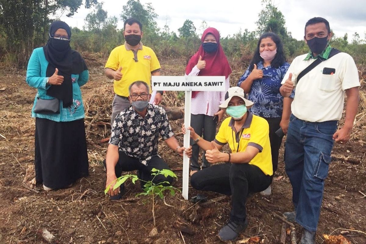 PT Maju Aneka Sawit-PKS MAS tanam 1.600 tanaman lokal tambah koleksi Kebun Raya Sampit