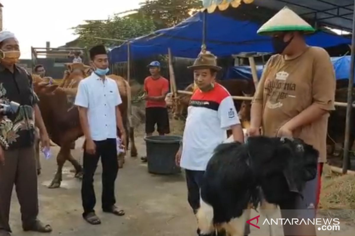 Pedagang hewan kurban tawarkan bonus kambing selama pandemi COVID-19