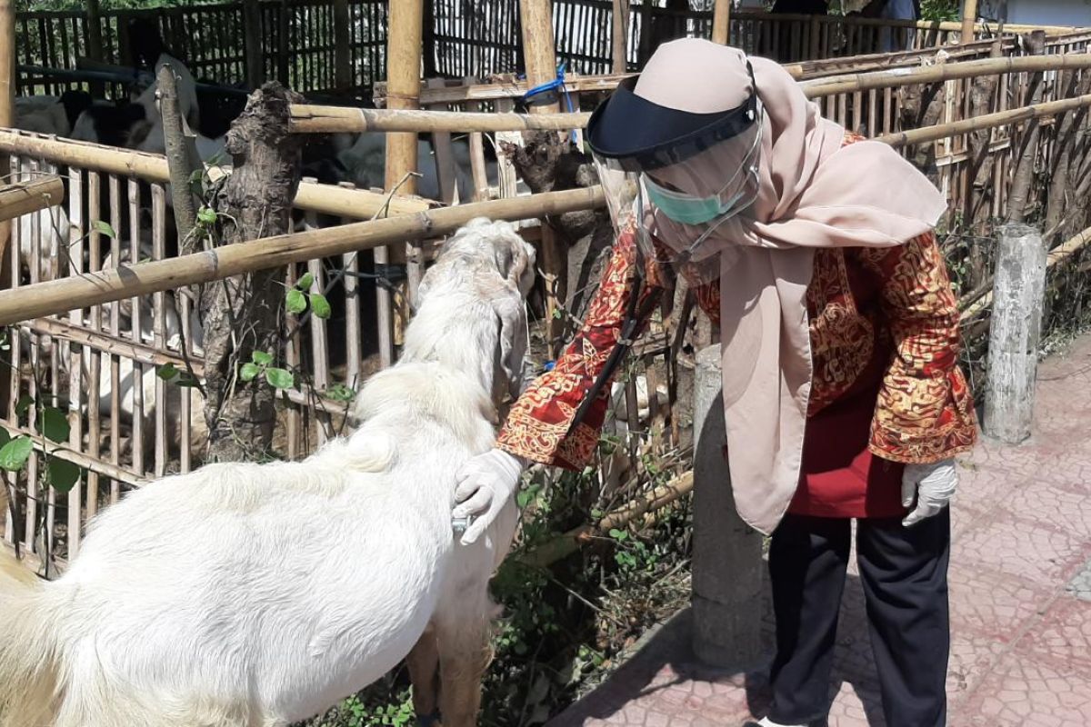 Di Banyuwangi, distribusi daging kurban diantar langsung ke rumah penerima