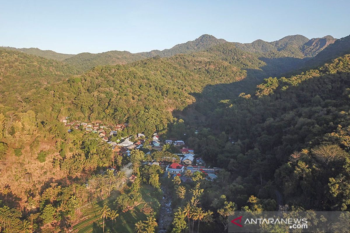 Legislator sebut RUU Cipta Kerja lindungi masyarakat hutan