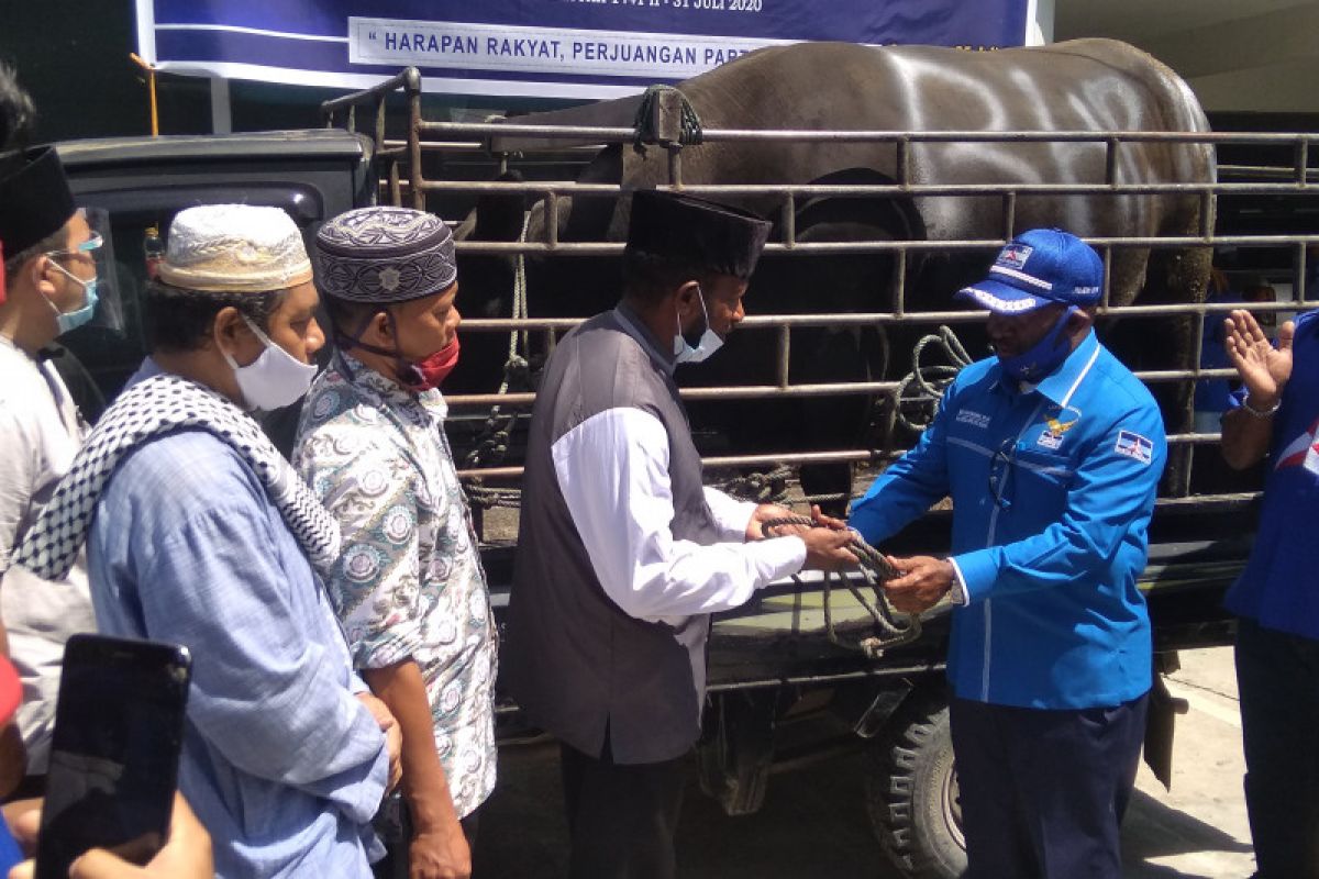 Demokrat Papua salurkan hewan kurban tiga masjid Kota Jayapura