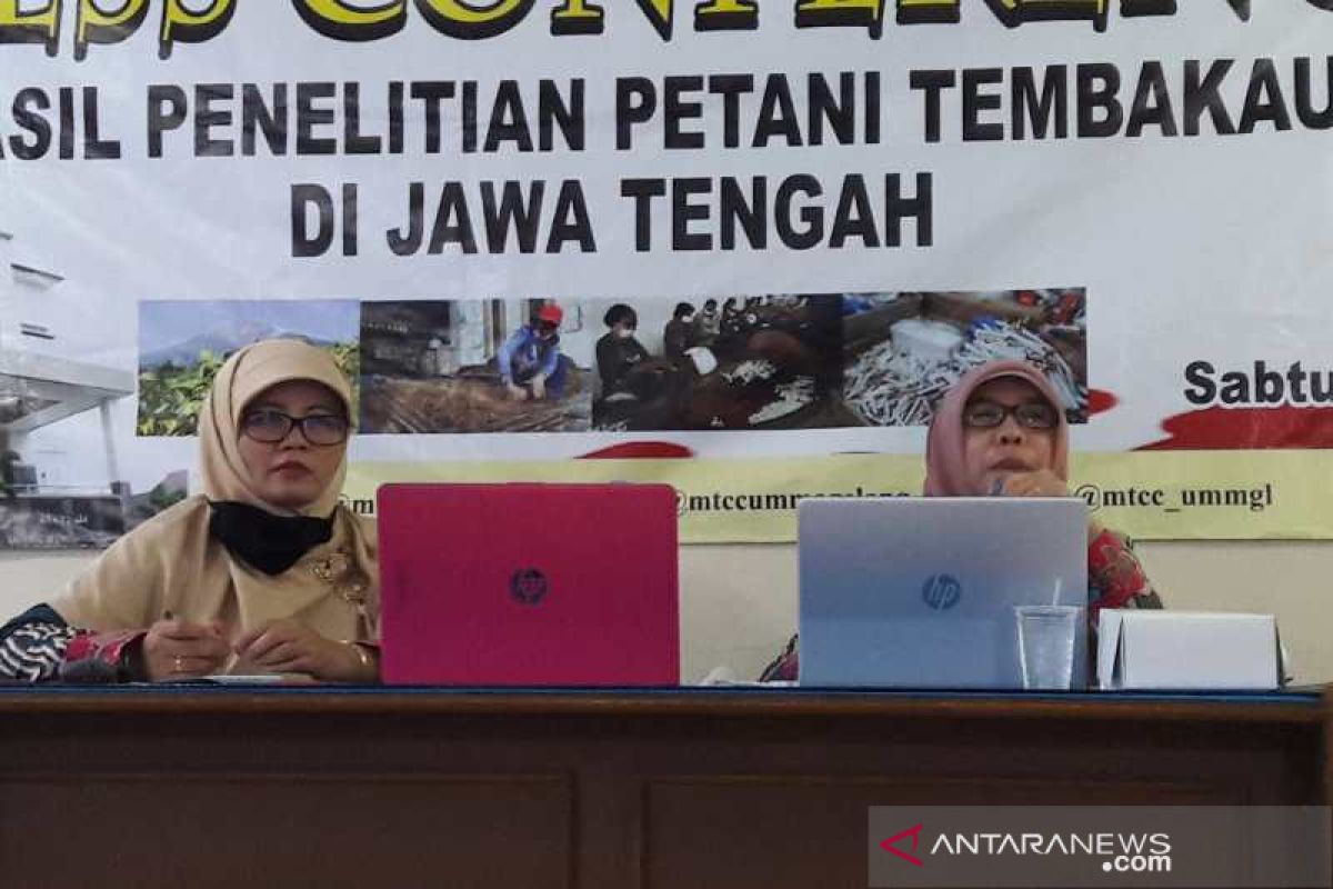 MTCC: Produksi tembakau belum seimbang dengan kesejahteraan petani