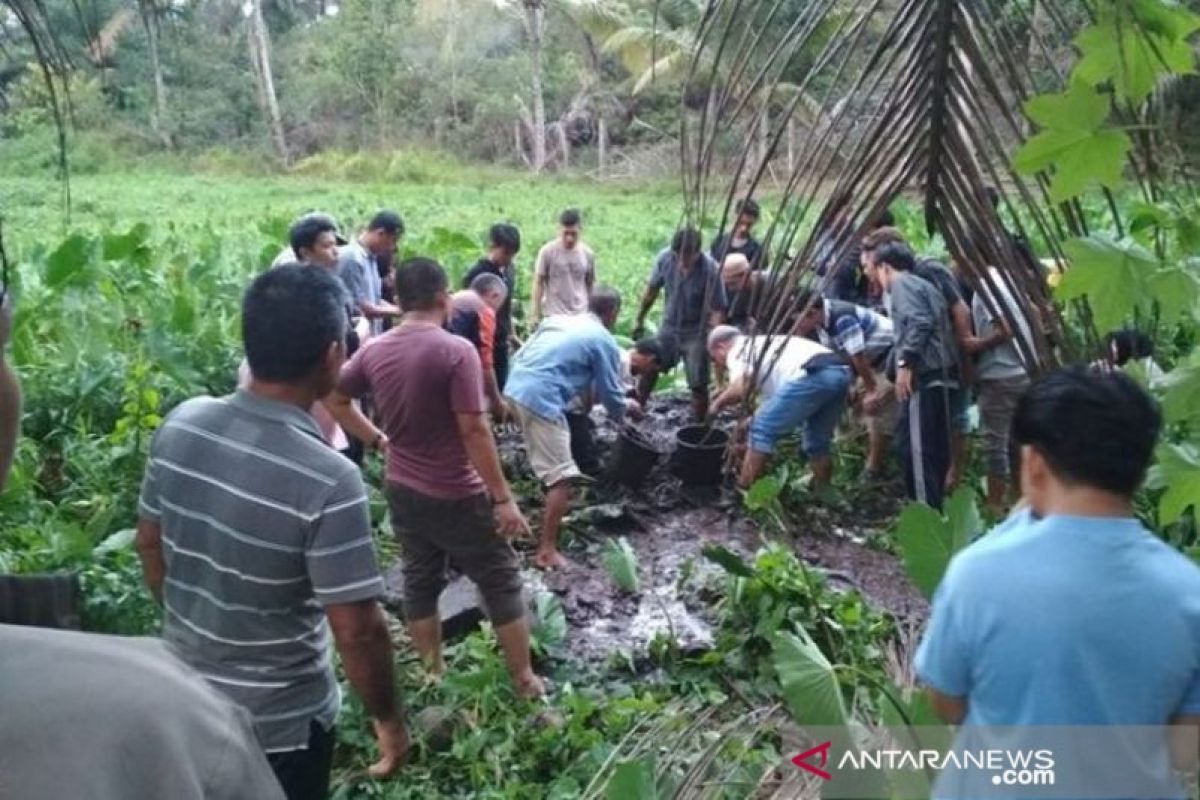 Seorang pria Aceh Barat ditemukan tewas mengenaskan di lahan pertanian, diduga korban pembunuhan