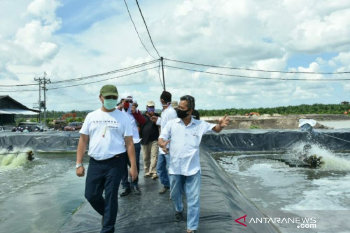 Ponpes Mahad Islam Jamalullail miliki potensi tambak udang vaname