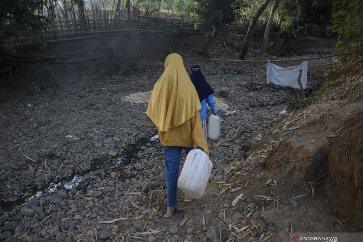 BMKG ingatkan pemda waspada kemarau di daerah rentan kekeringan