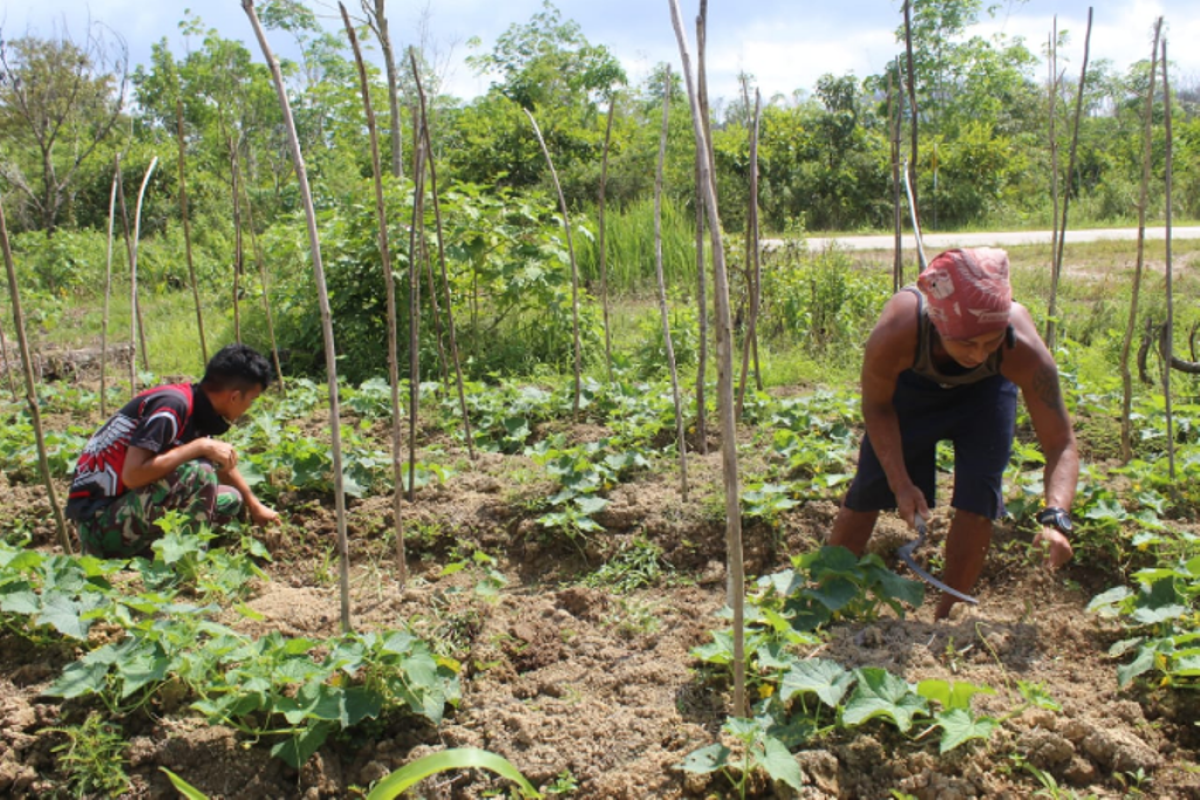 Personel TMMD bantu warga membersihkan kebun warga