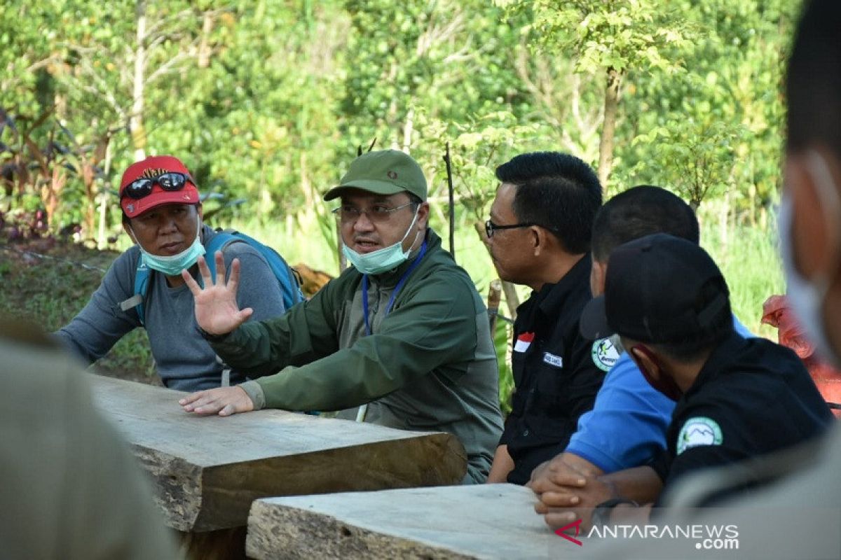 Gubernur Babel gelar gerakan tanam durian di kawasan destinasi wisata alam