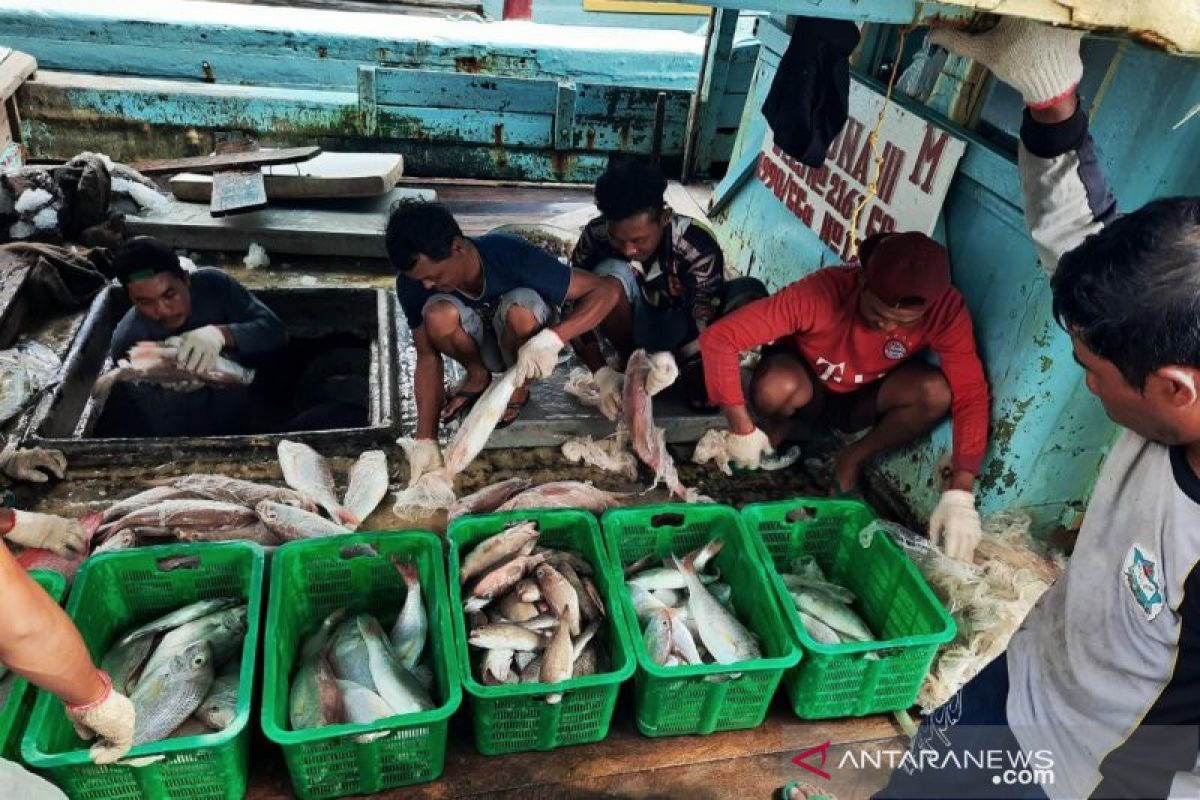 Singapura dan Malaysia buka kembali penjualan ikan dari Kepri