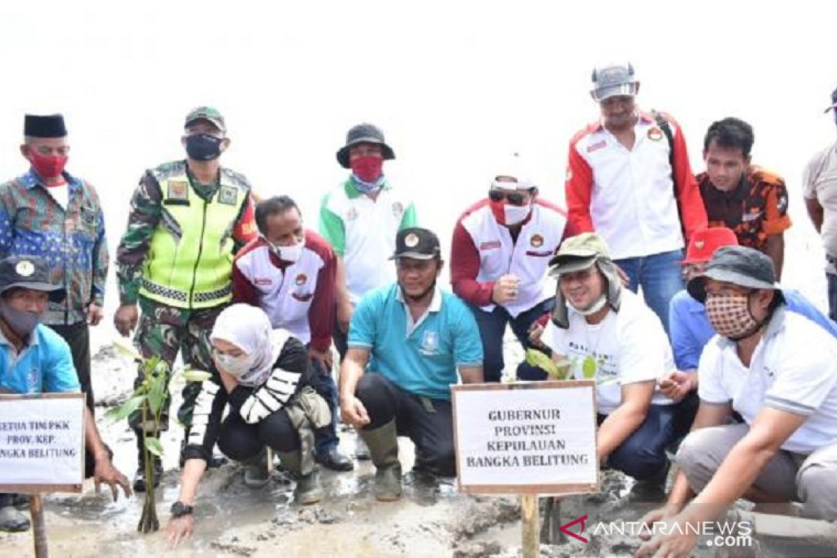 Pemprov Babel budidayakan kepiting bakau Riding Panjang