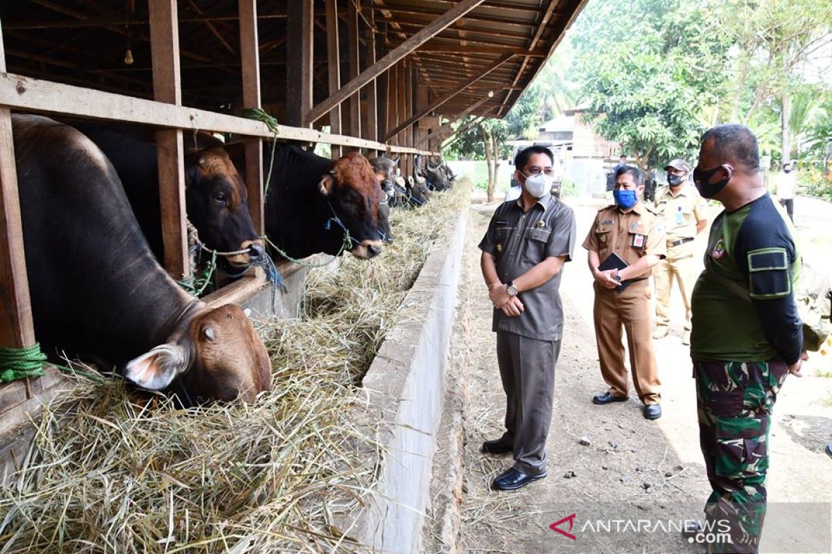 Pastikan persedian cukup dan sehat, Wabup HSS kunjungi peternakan sapi