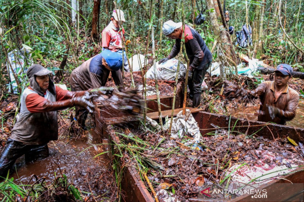 BNF-CIMTROP bangun dam cegah kebakaran di Hutan Sebangau