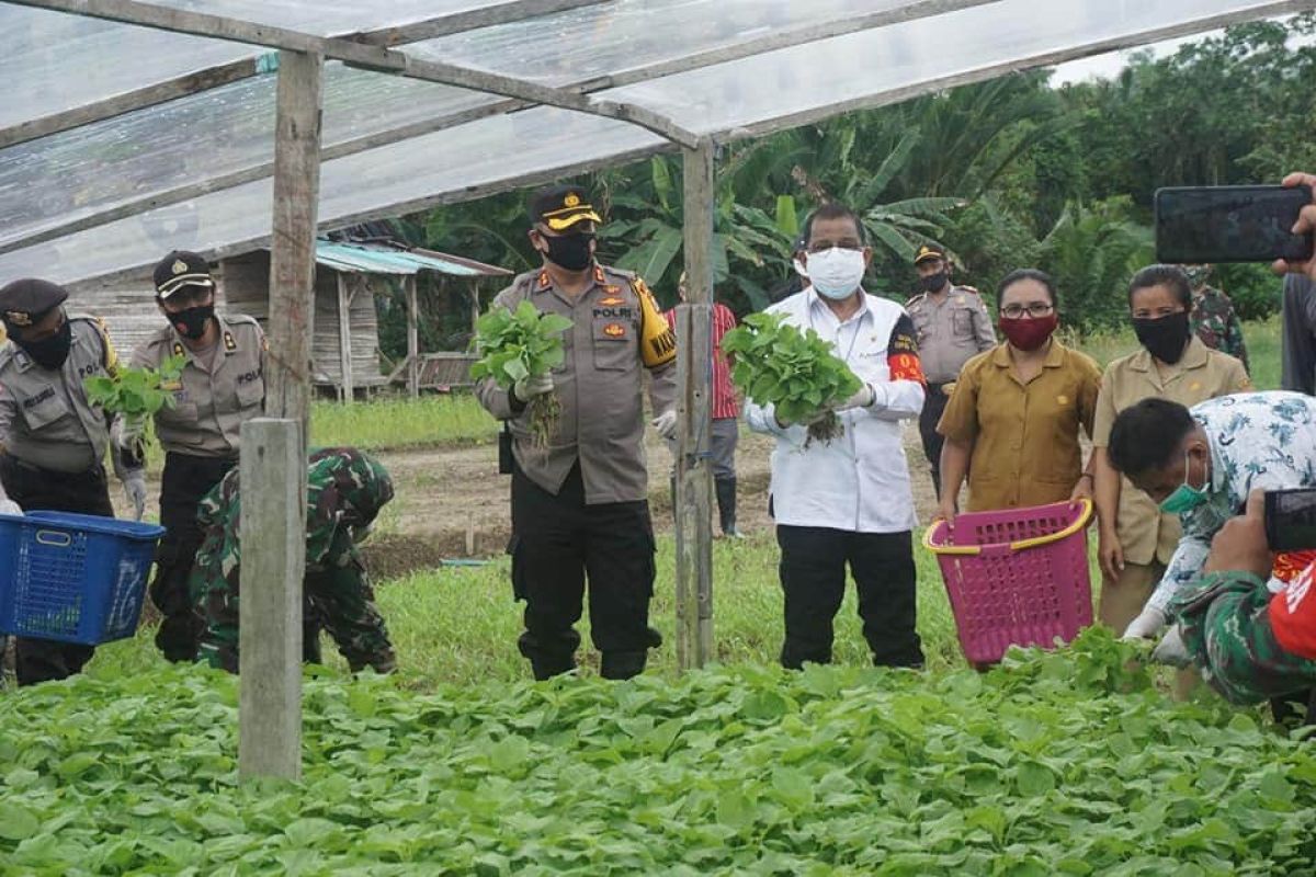 Dua desa di Ambon dicanangkan sebagai Kampung Tangguh Nusantara