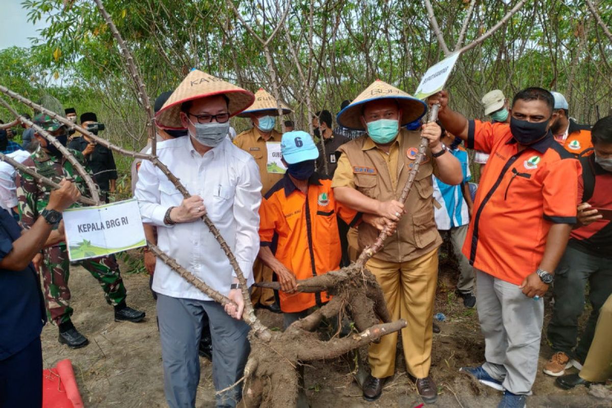 Wujudkan ketahanan pangan di lahan rawan kebakaran