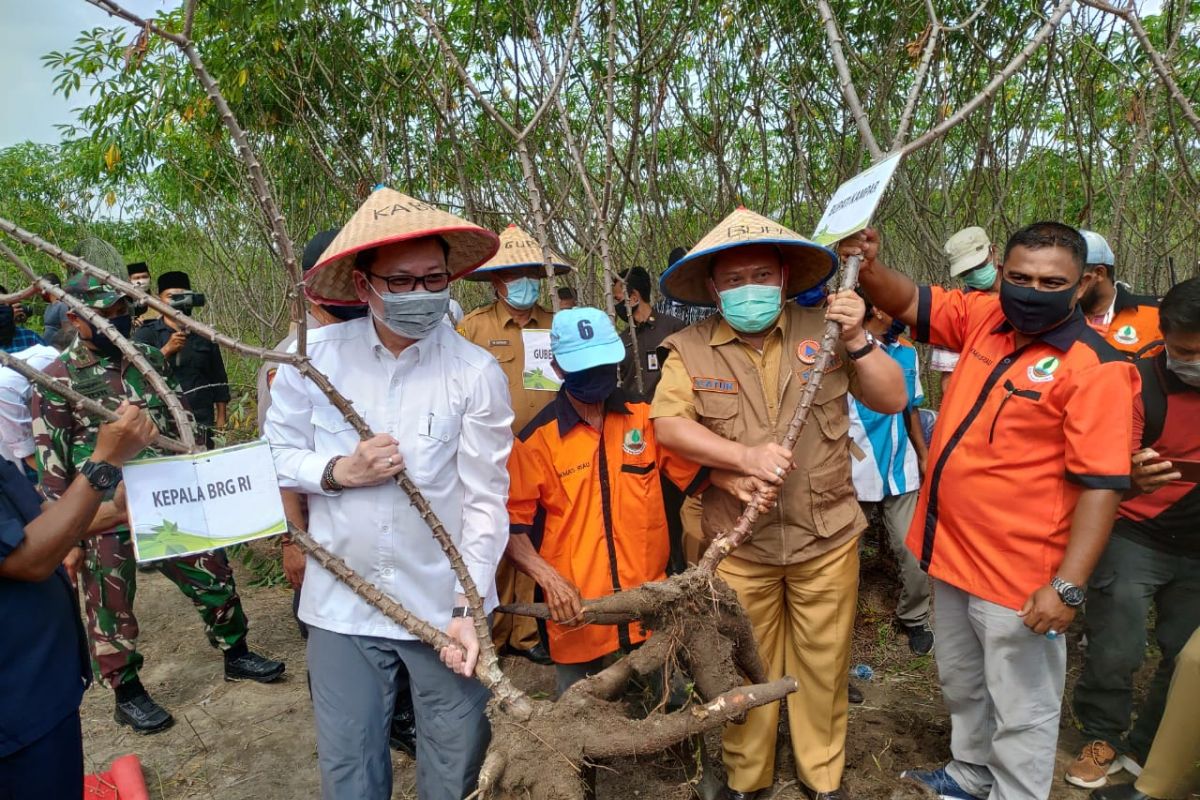 Wujudkan ketahanan pangan di lahan rawan kebakaran