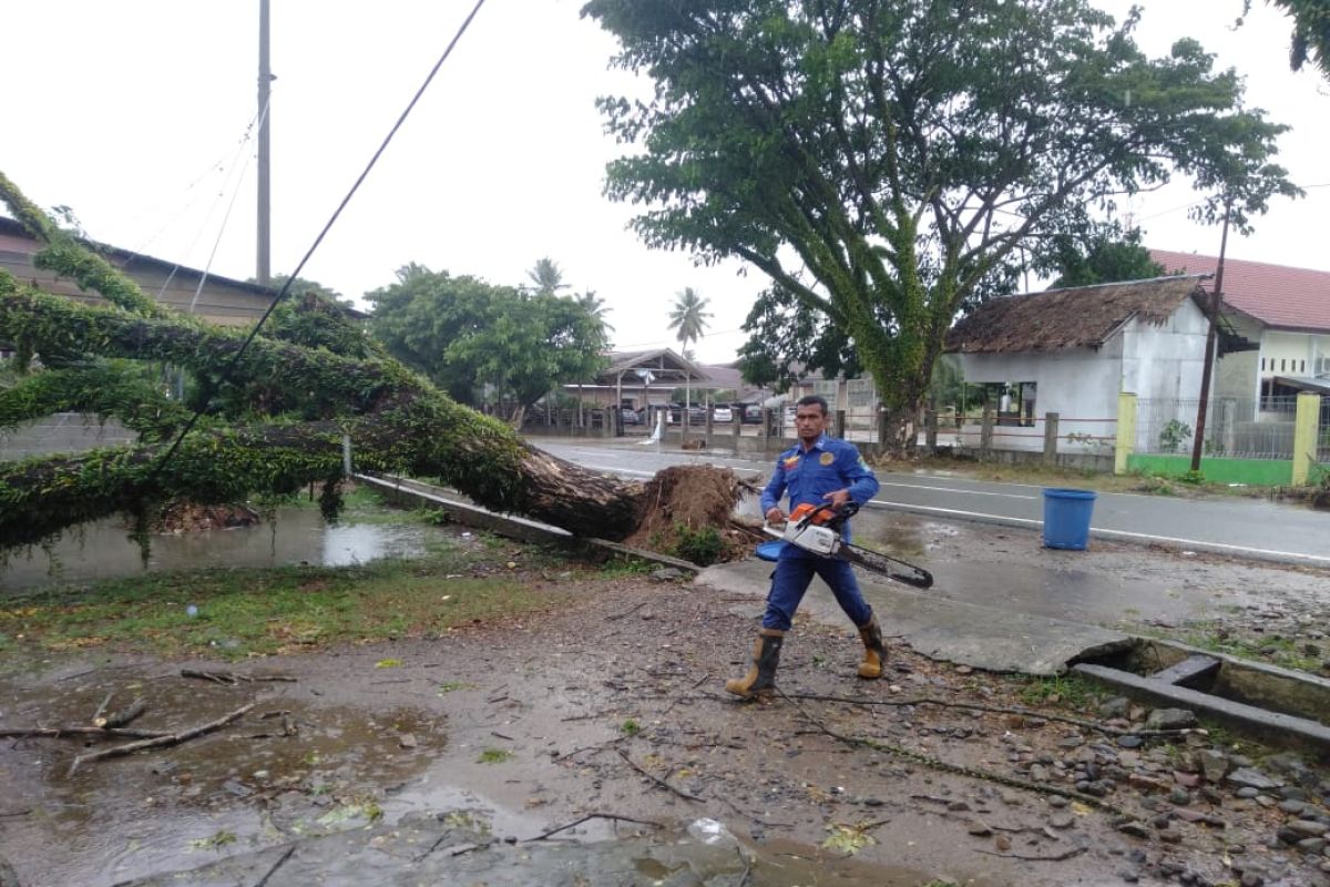 BMKG: Tekanan rendah Asia berpotensi turunkan hujan lebat di Aceh