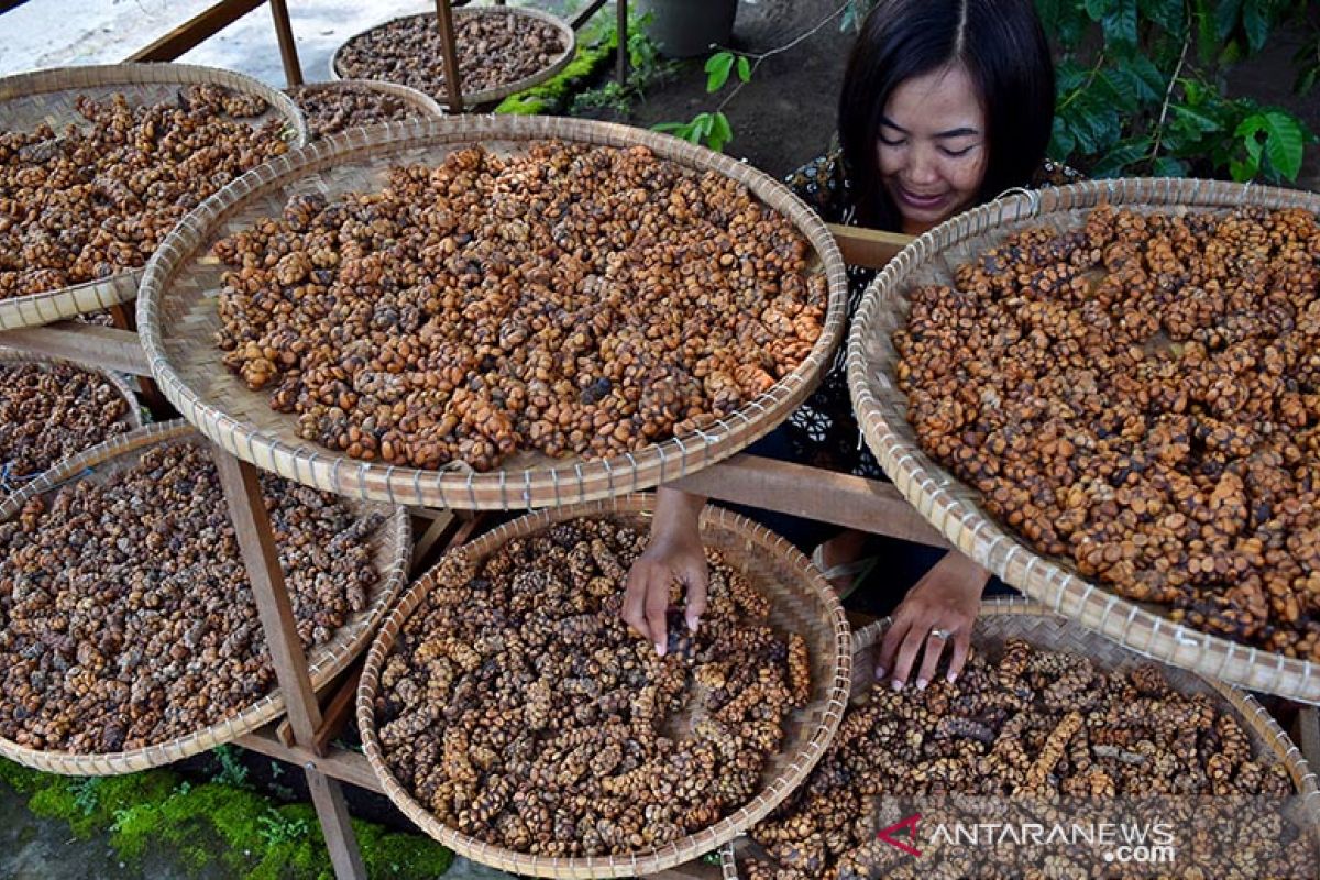 TETO dorong Indonesia manfaatkan pasar konsumen kopi di Taiwan