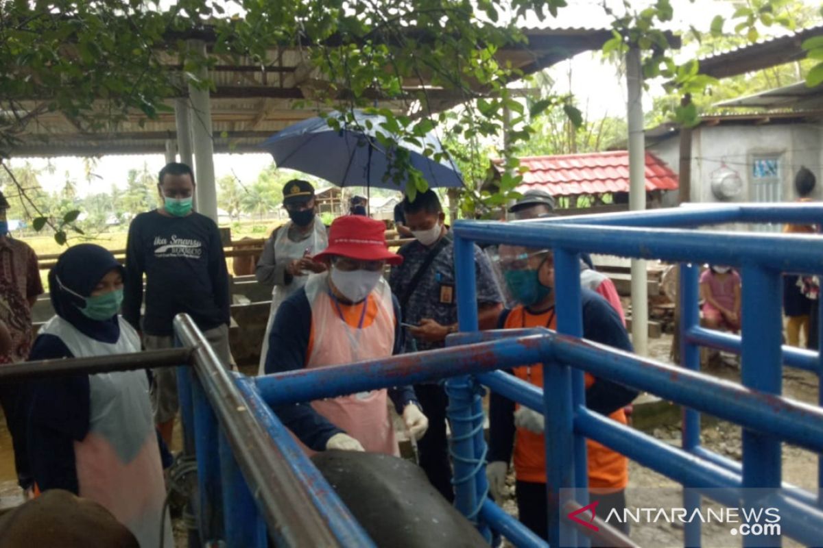 Pemkab Bone Bolango bentuk tim pengawas hewan kurban