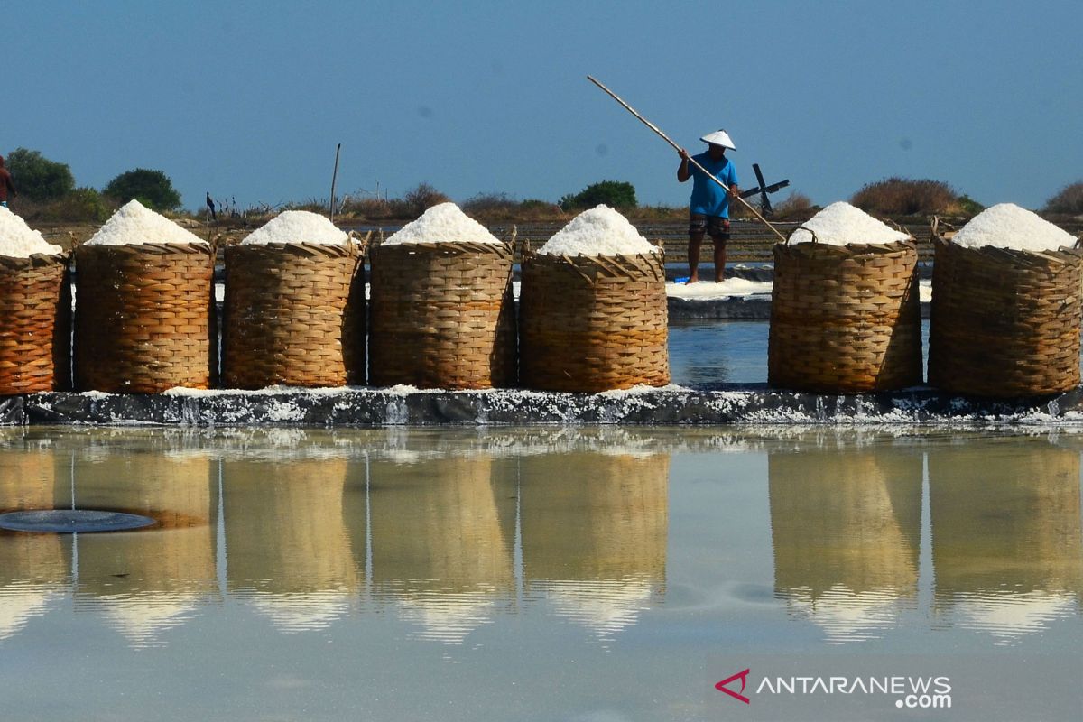 Menteri Kelautan dan Perikanan yakin petambak nasional menghasilkan garam berkualitas