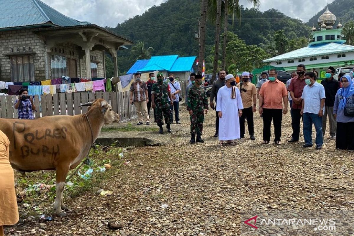 Kapolda Maluku serahkan bantuan hewan kurban di Buru Selatan