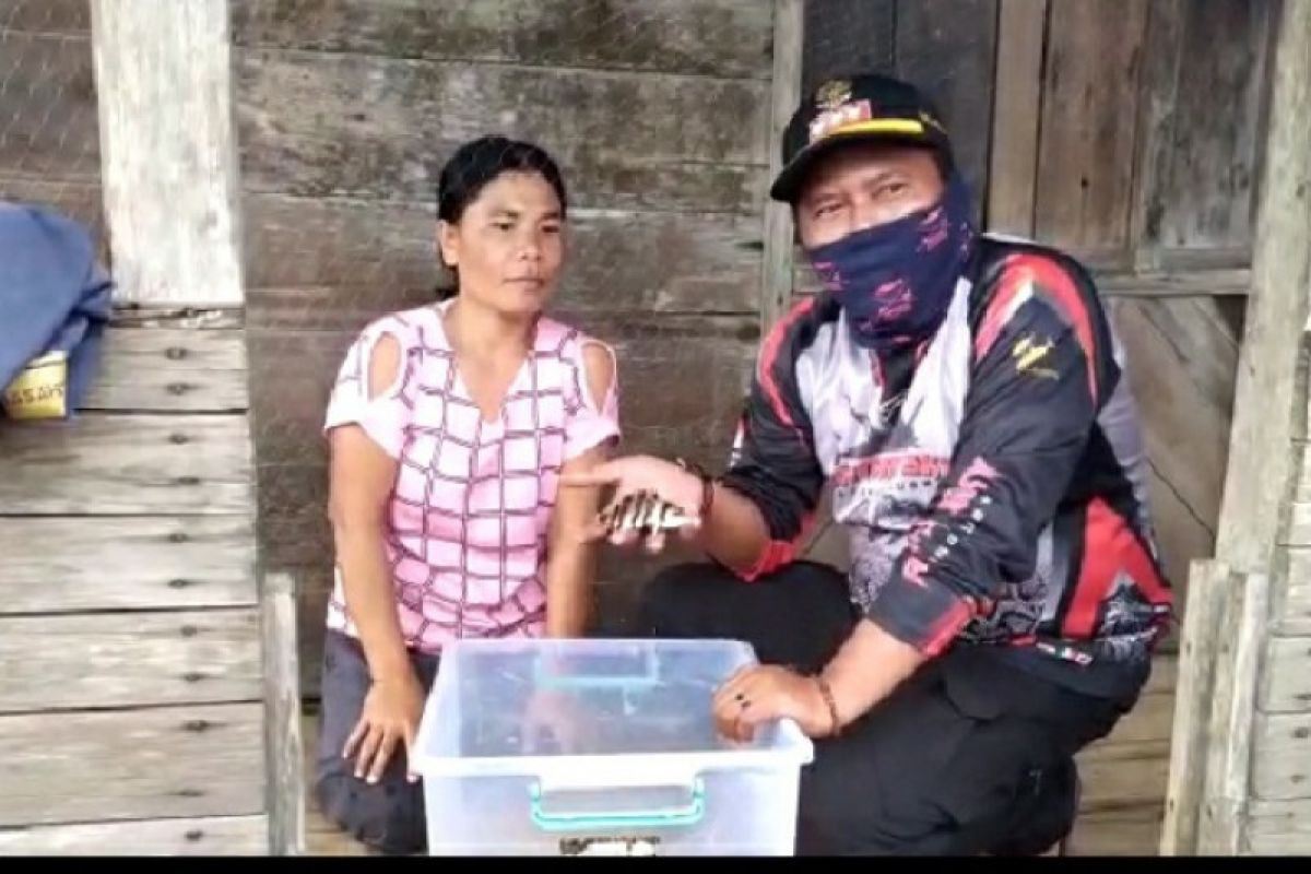 Nelayan Bayung Lencir berburu ikan elang