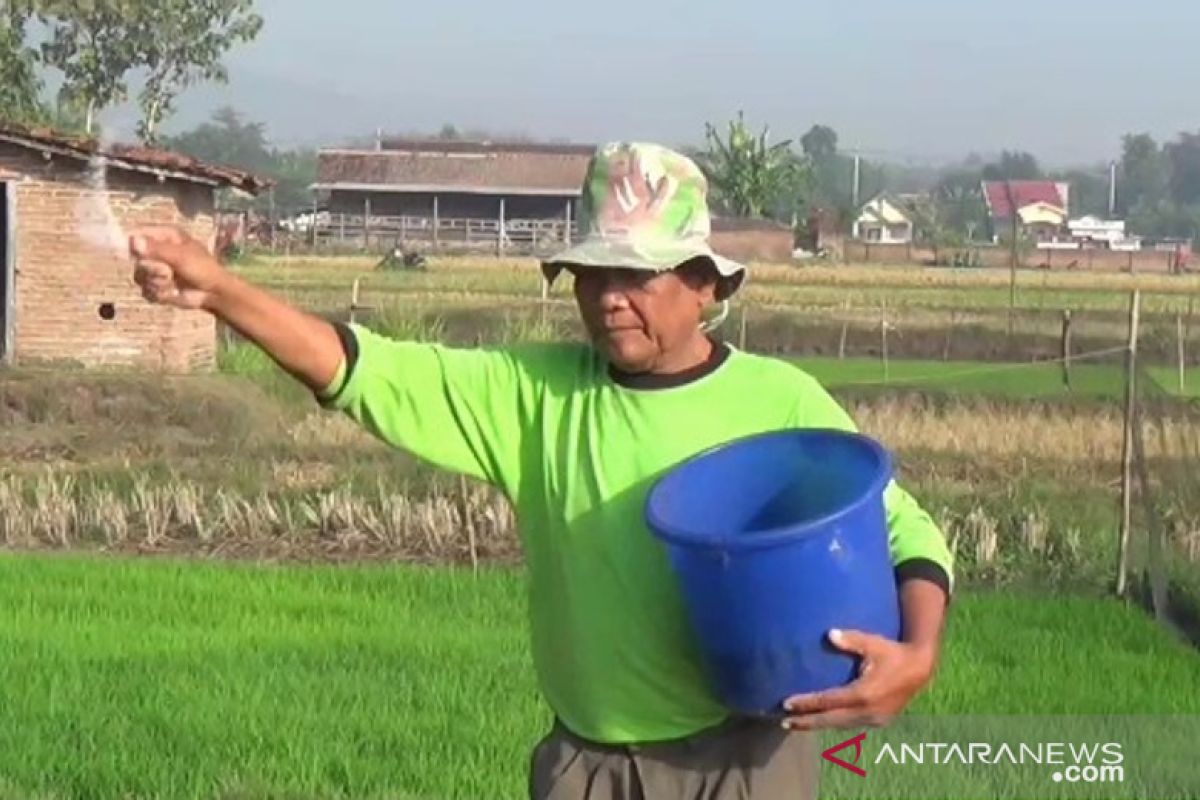 Alokasi pupuk bersubsidi di Magetan berkurang drastis