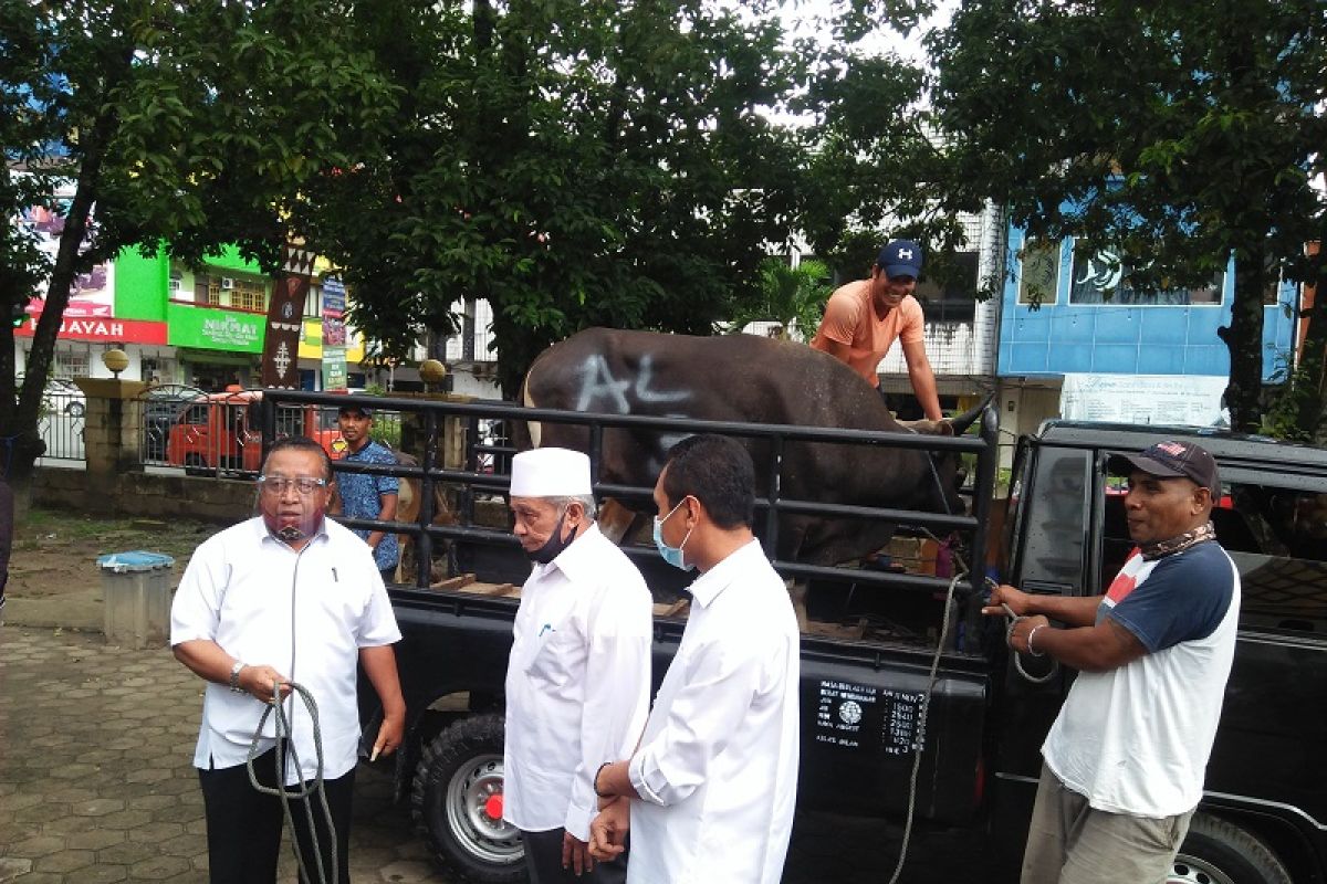 Imam masjid: sumbangan hewan kurban MPH Sinode GPM  bermanfaat