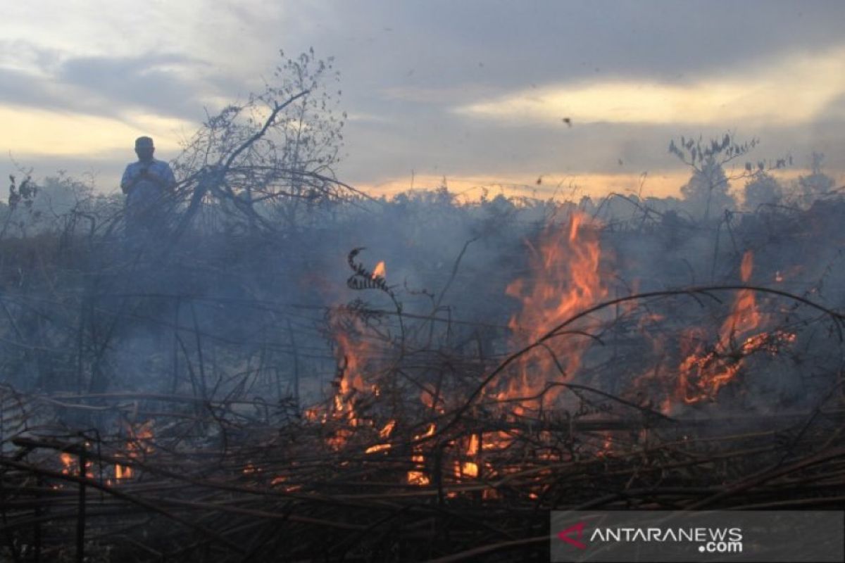 Gerak cepat cegah karhutla di masa pandemi COVID-19