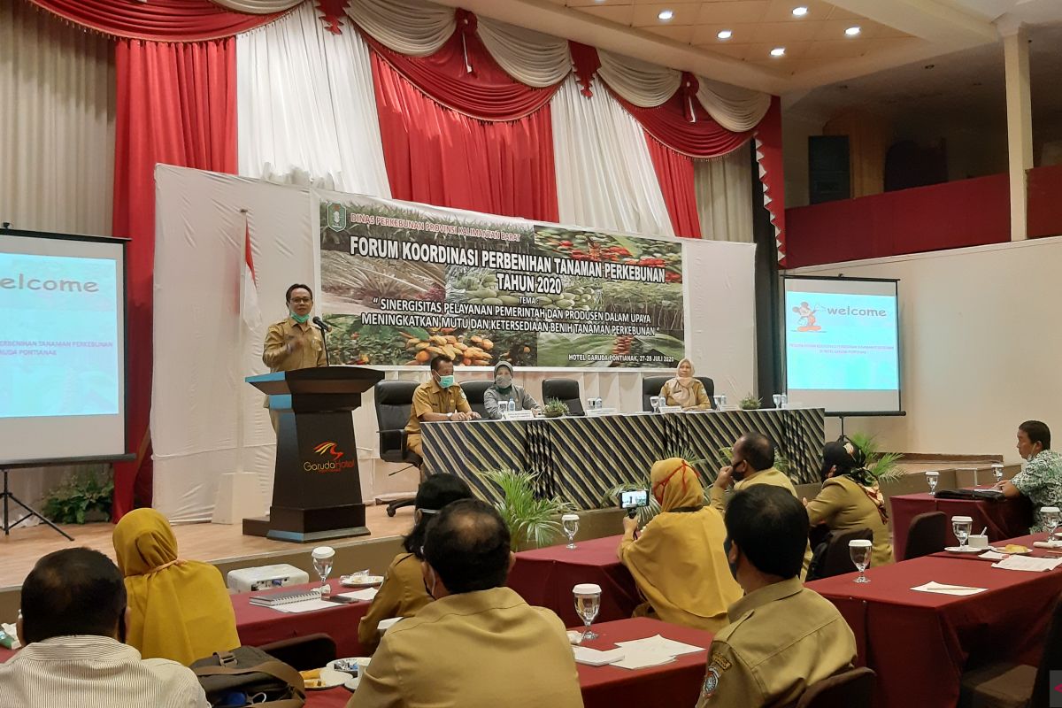 Benih jadi tantangan pengembangan perkebunan di Kalbar