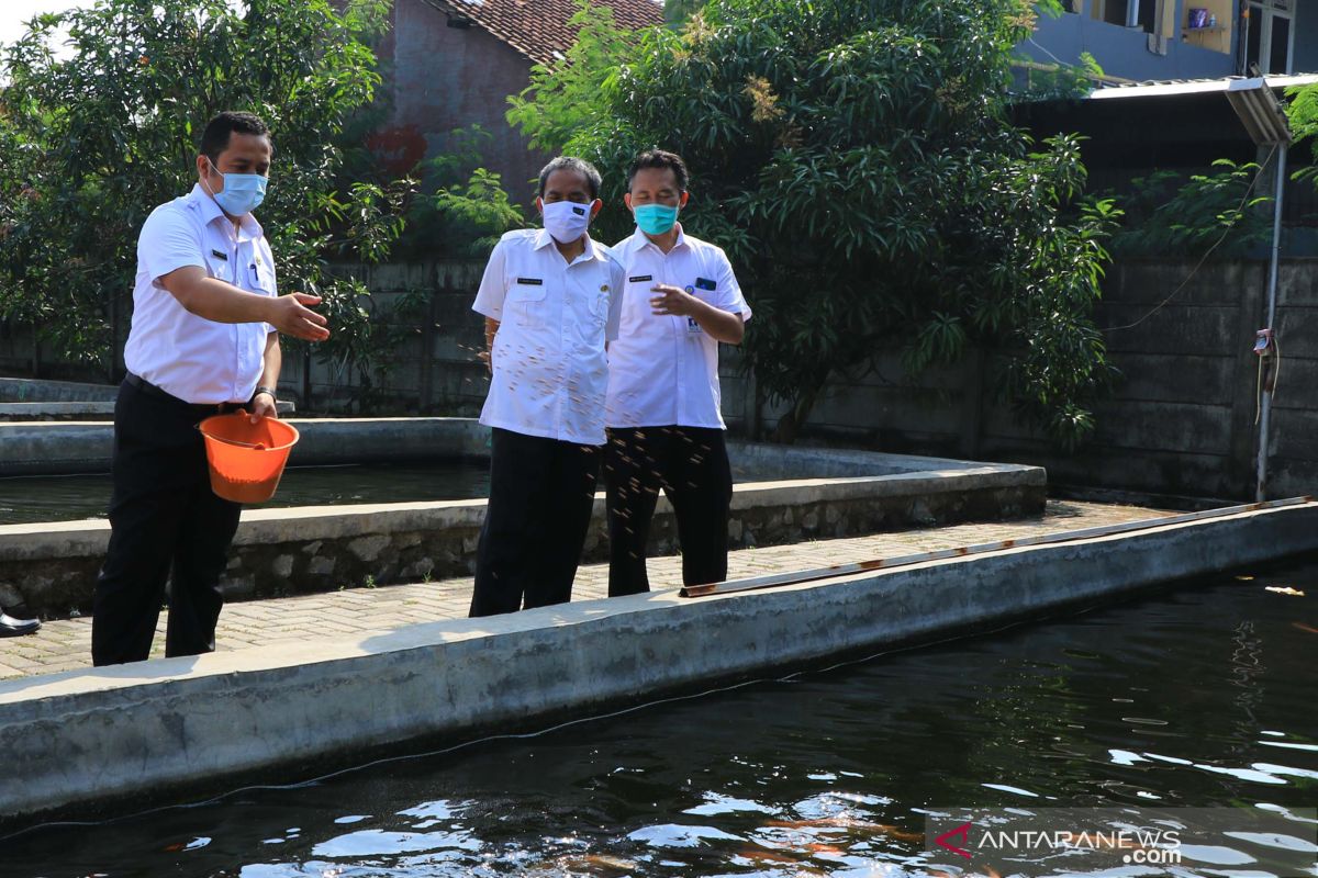 Pemkot Tangerang optimalkan kampung iklim - tematik jadi ketahanan pangan