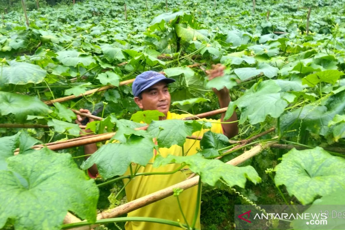 Program desa makmur peduli api tepat cegahan karhutla di Jambi