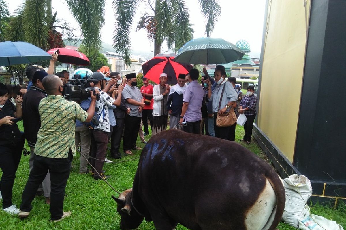 DPRD Maluku serahkan bantuan hewan kurban ke Masjid Raya Al-Fatah Ambon