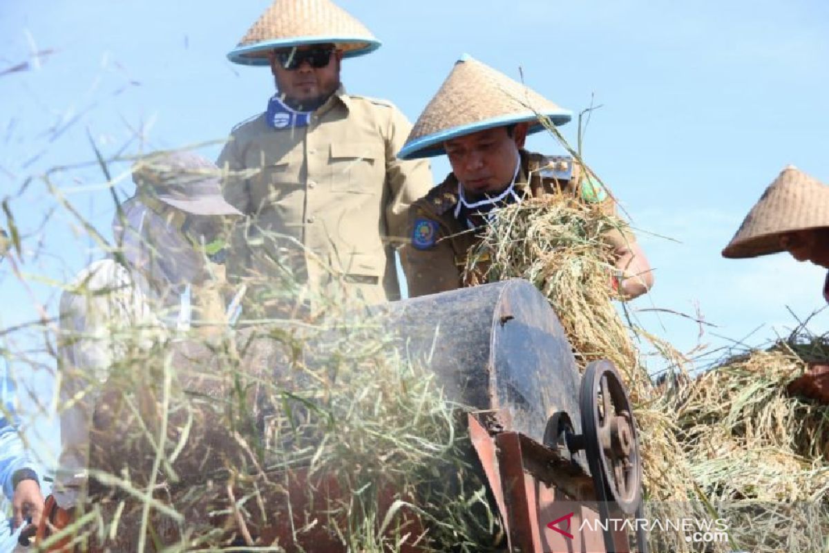 Pemkot Bengkulu salurkan benih padi untuk 450 hektare sawah