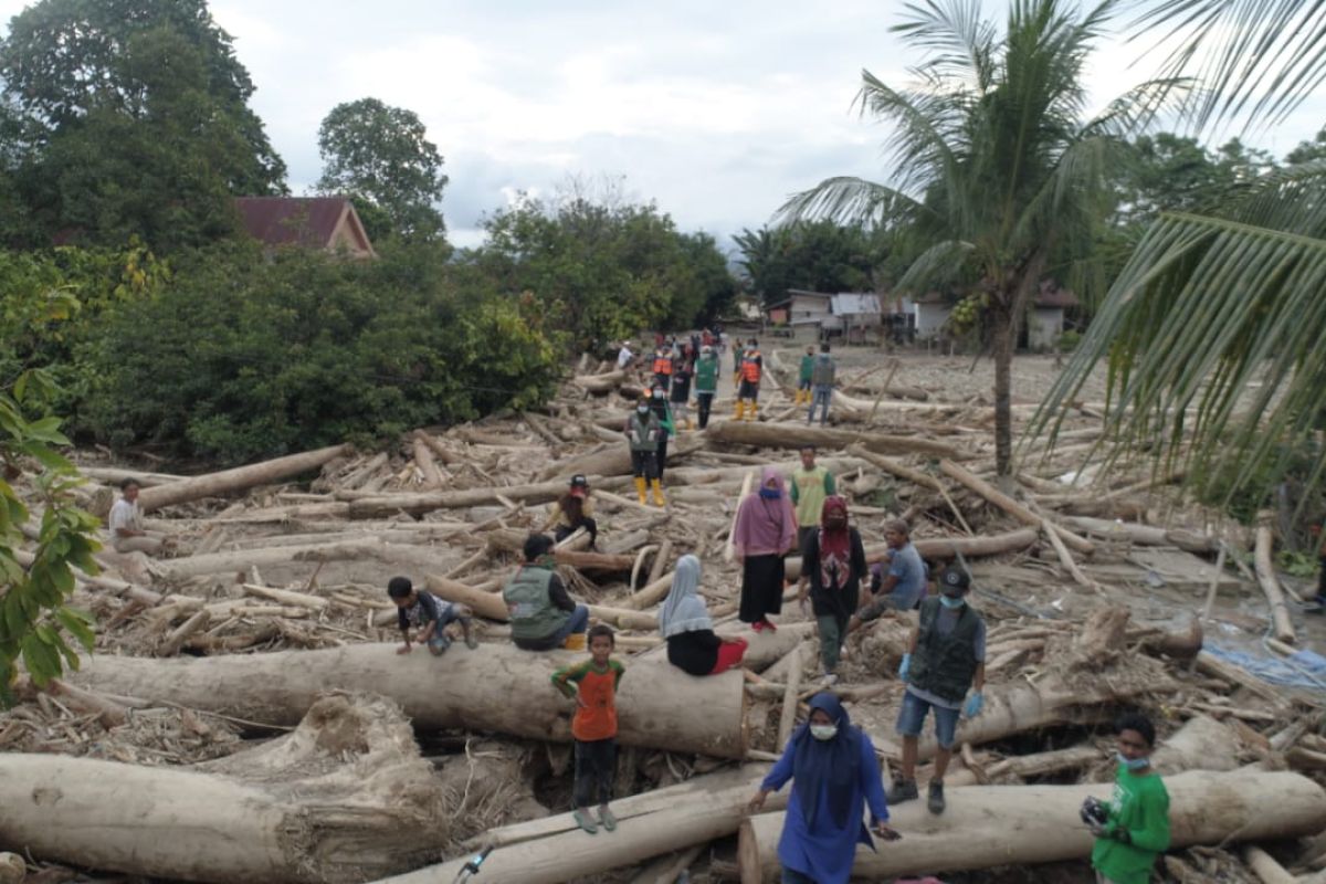 Bupati Luwu Utara laporkan kerusakan lahan akibat banjir kepada Mentan