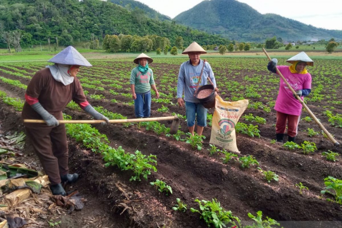 Produk NPK dan ecofert Pupuk Kaltim mampu tingkatkan kesejahteraan petani