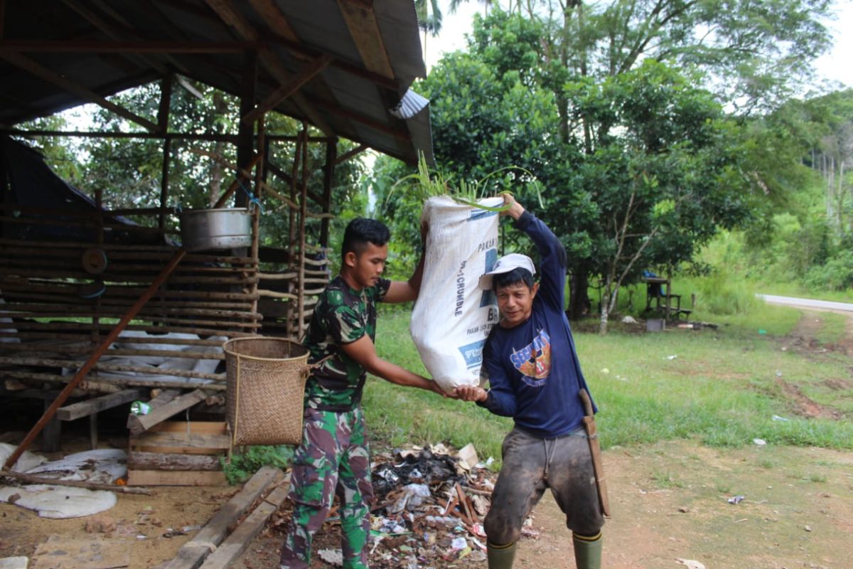 Prada Wahab bantu warga mengangkat buah kelapa