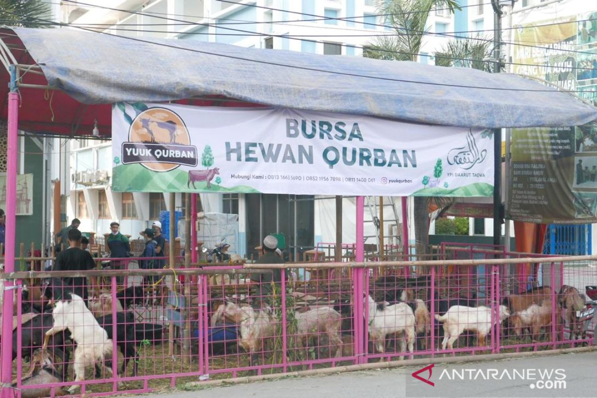 Pemkot Bekasi beri label halal ribuan hewan kurban di lapak pedagang