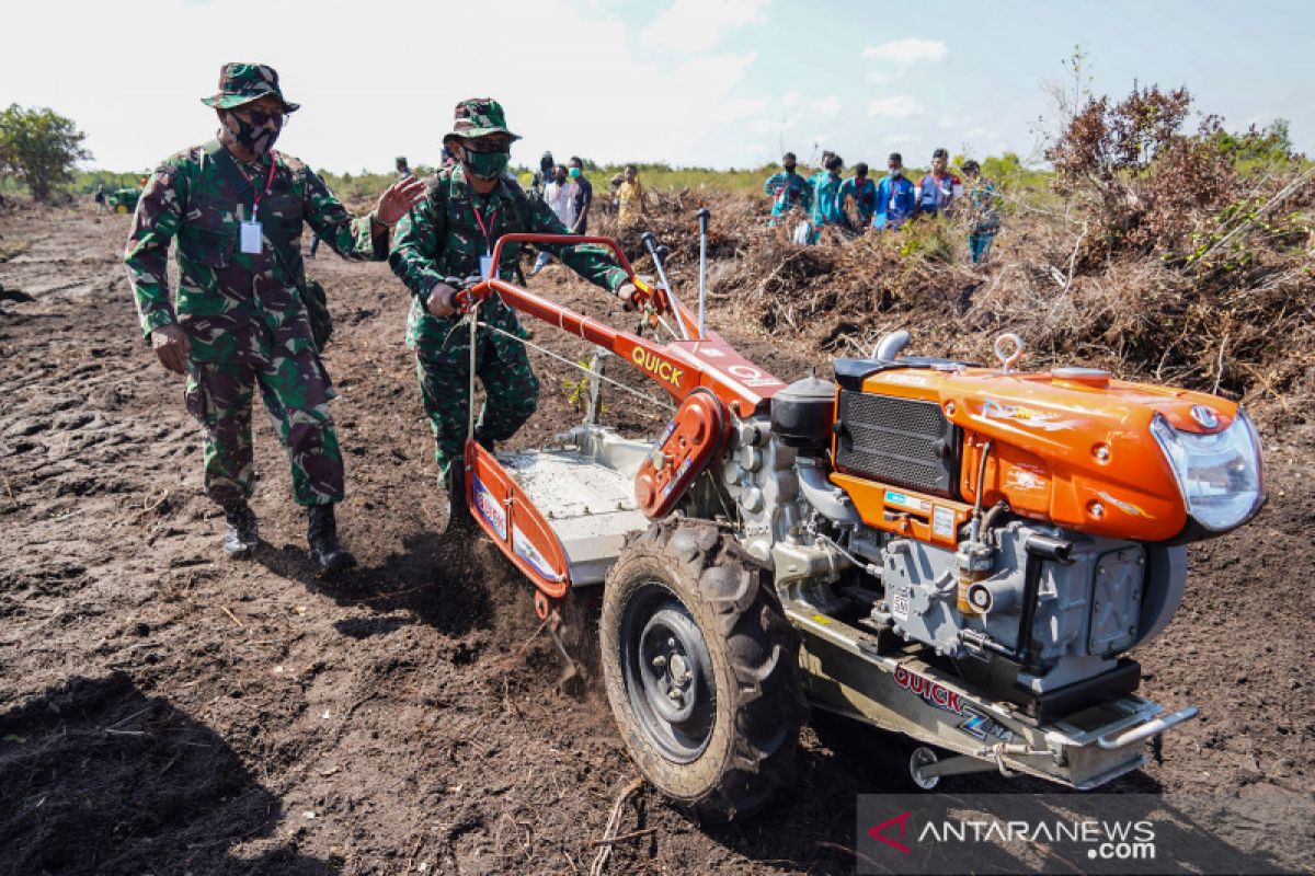 Peragi nilai restorasi lahan perlu optimalisasi lumbung pangan