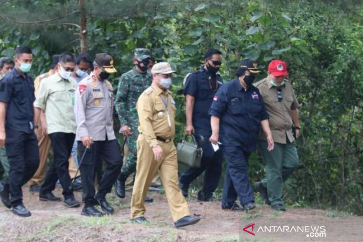 Presiden Jokowi pilih Bangka Belitung wakil wilayah Sumatera penanaman mangrove