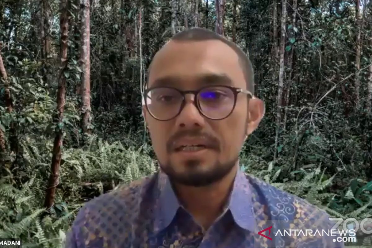 Direktur Eksekutif Yayasan Madani minta pemerintah pertahankan BRG