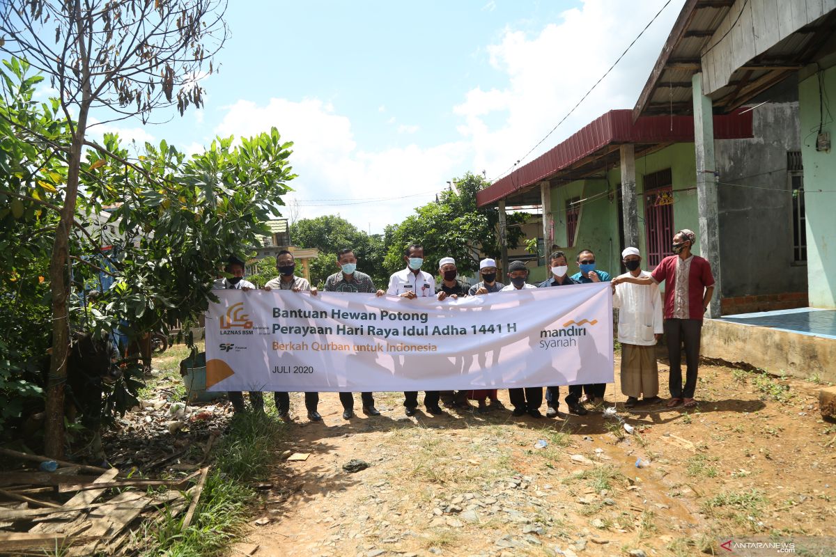 Bank Mandiri Syariah bantu sapi qurban untuk warga Pintu Air