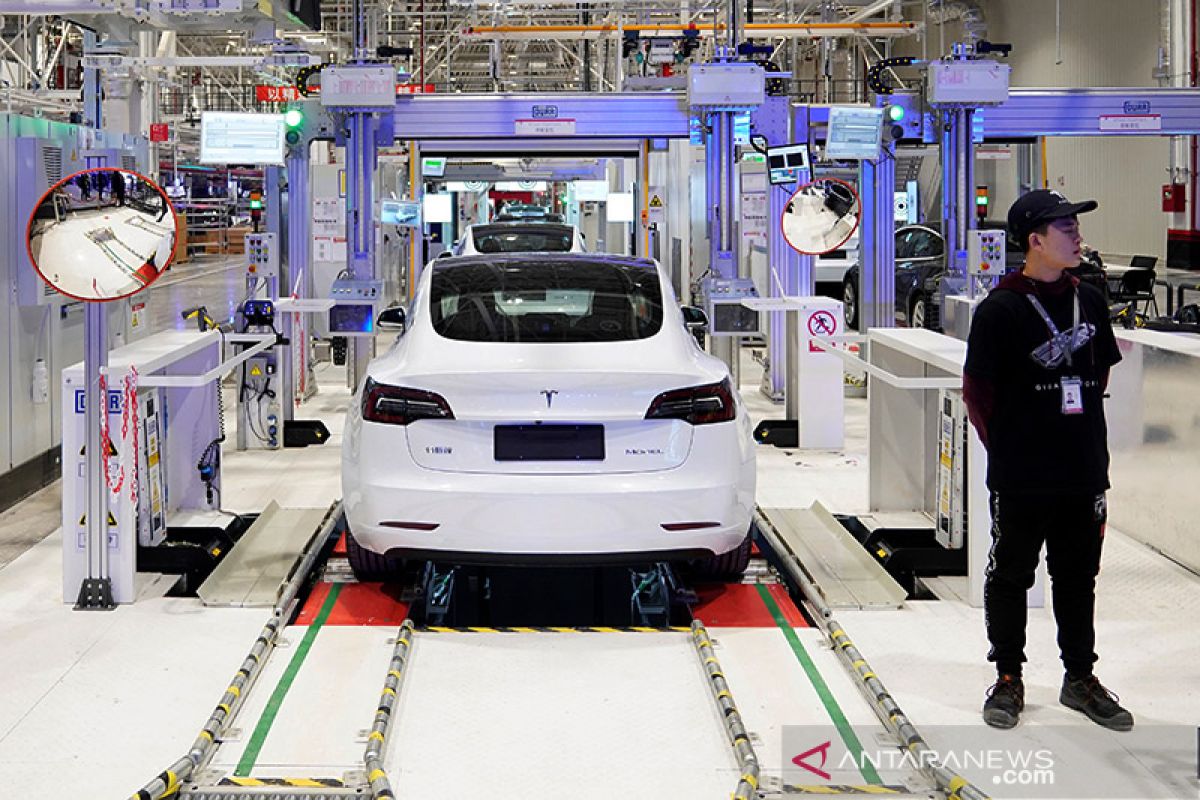 Tesla rekrut pegawai besar-besaran di Shanghai saat produksi naik