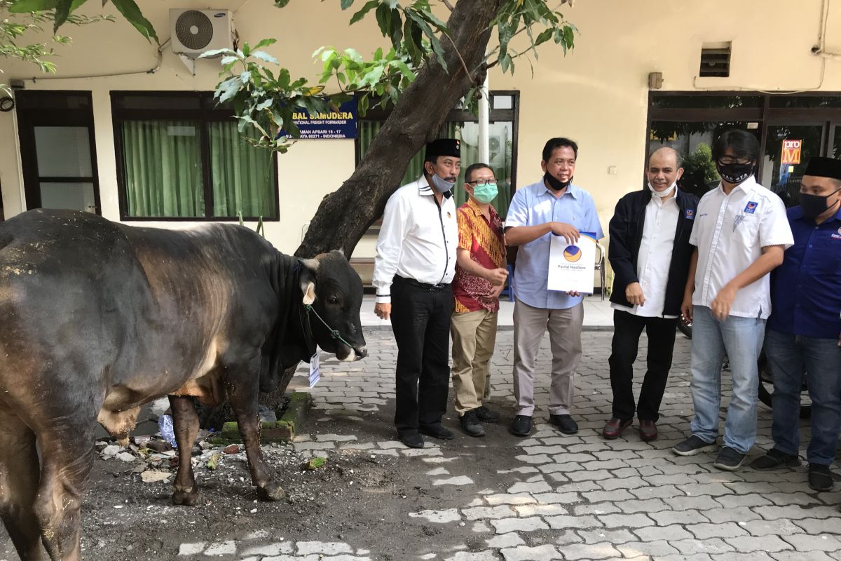 NasDem Jatim serahkan tiga ekor sapi kurban ke organisasi media