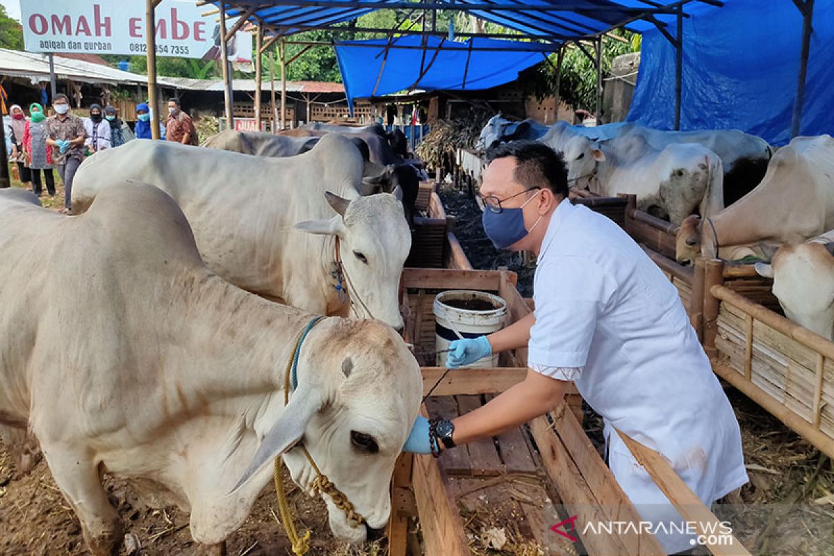 Bandarlampung turunkan tim pengawas hewan kurban hingga H+3