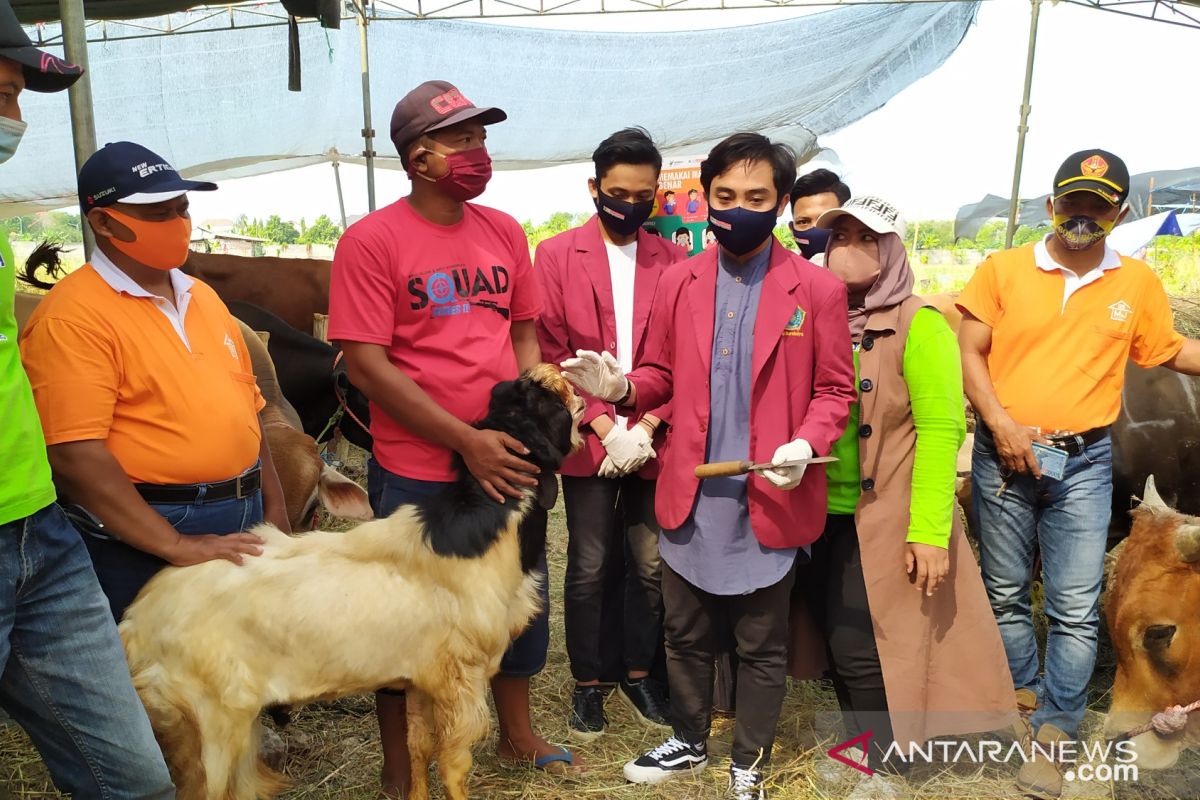 Mahasiswa UMS edukasi masyarakat prosedur penyembelihan hewan saat pandemi