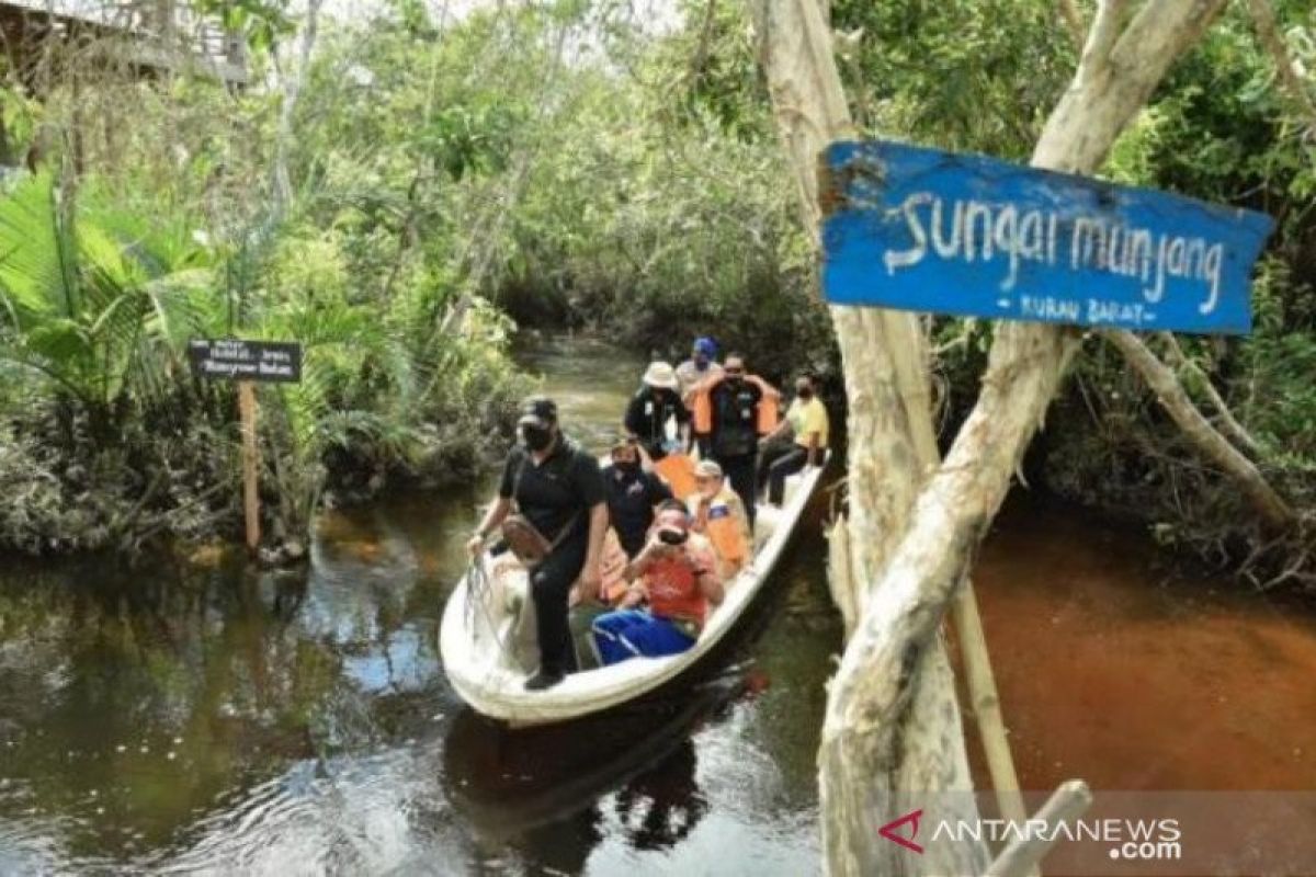Menteri LHK Siti Nurbaya dan Erzaldi Rosman kunjungi destinasi wisata Mangrove Munjang Babel