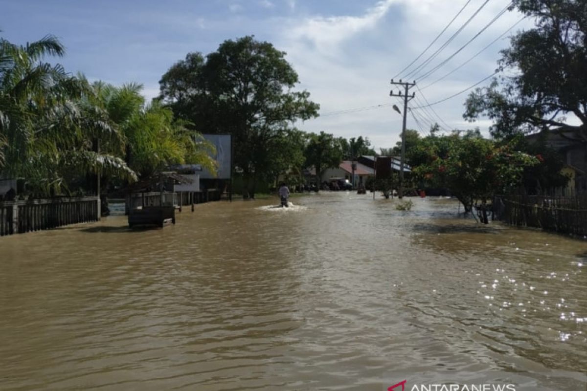 Banjir Rendam 23 Desa Di Nagan Raya, Akses Transportasi Lumpuh - ANTARA ...