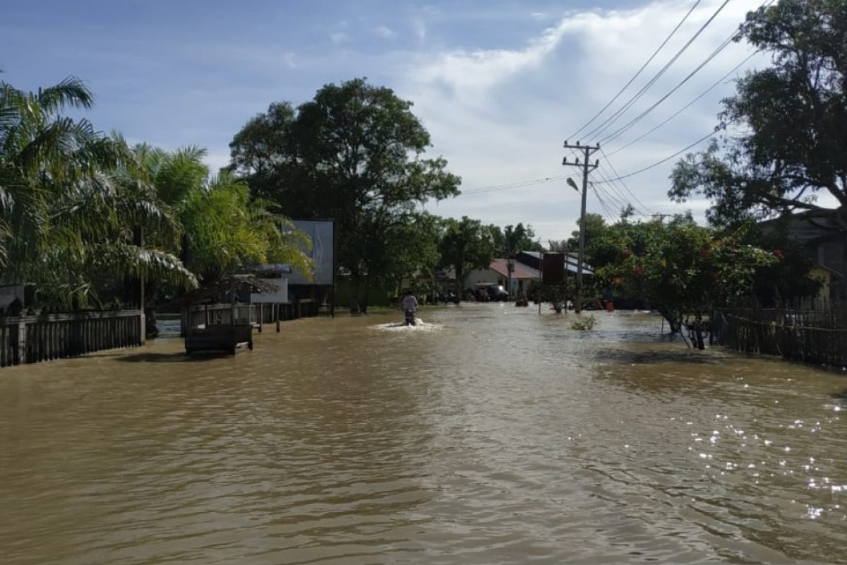 Banjir rendam 23 desa di Nagan Raya, akses transportasi lumpuh